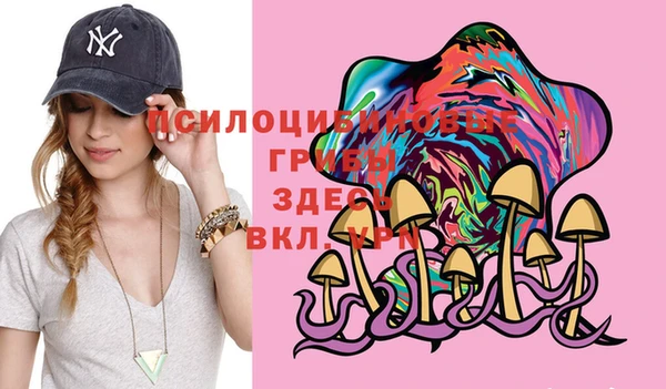 хмурый Волосово