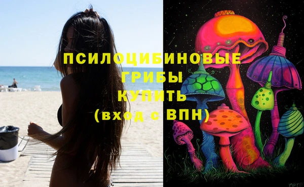 хмурый Волосово