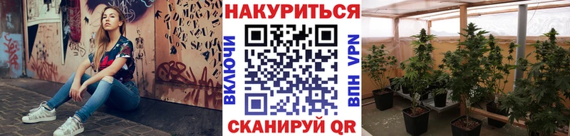 купить   Петровск  Каннабис White Widow 
